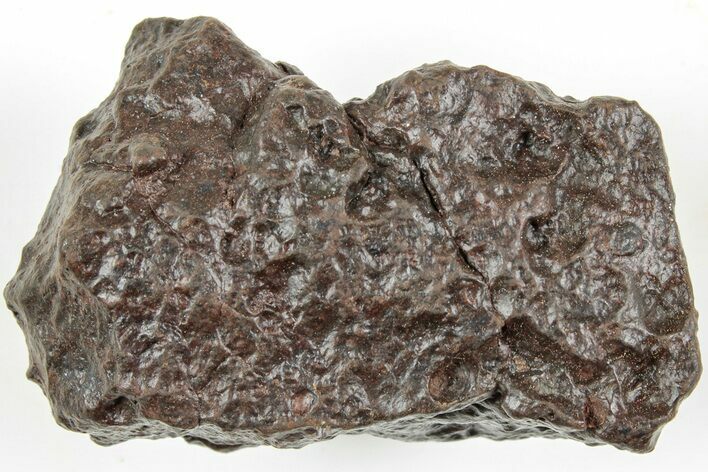 Chondrite Meteorite ( g) - Western Sahara Desert #233200